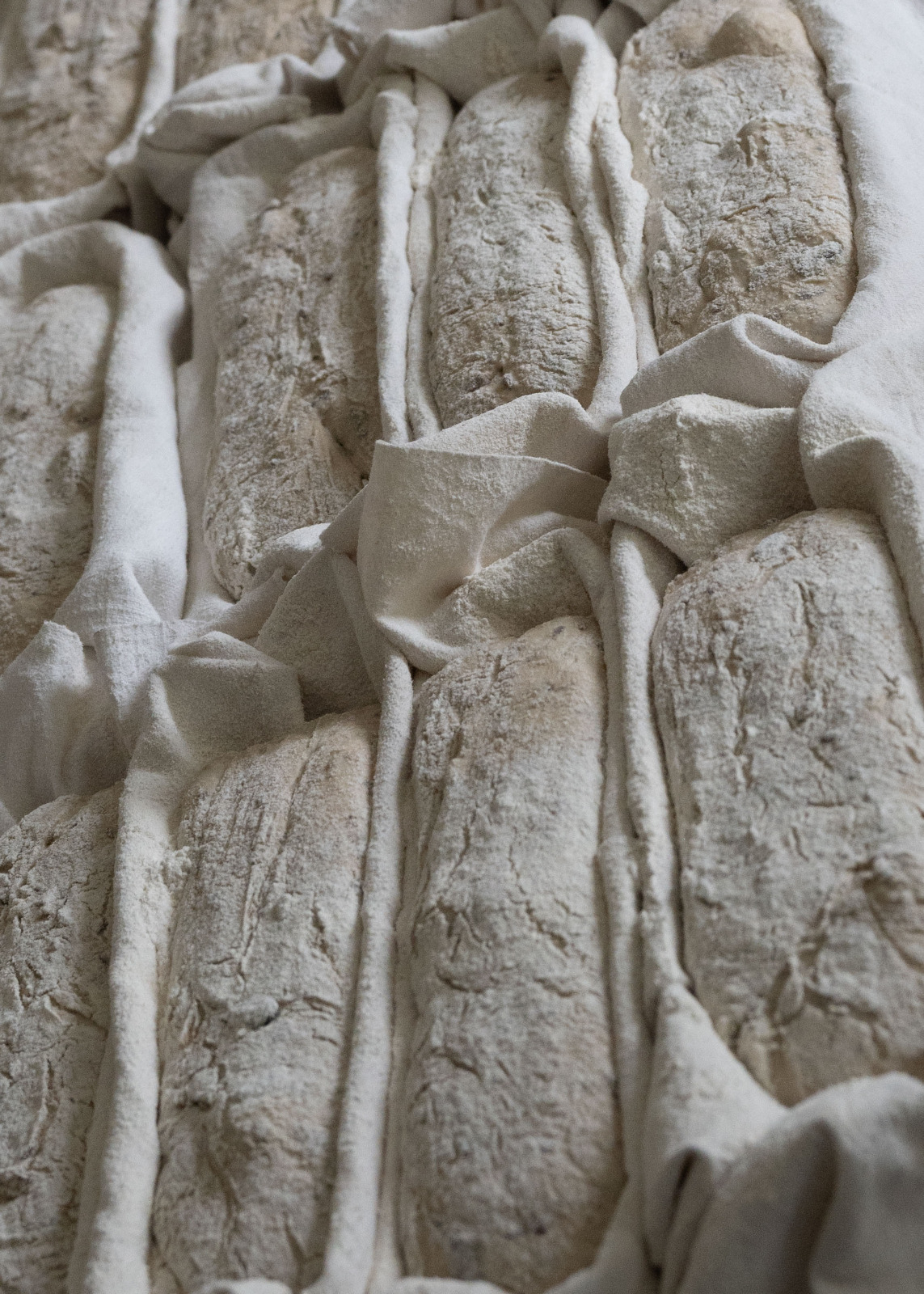 Levain naturel actif pour la fermentation