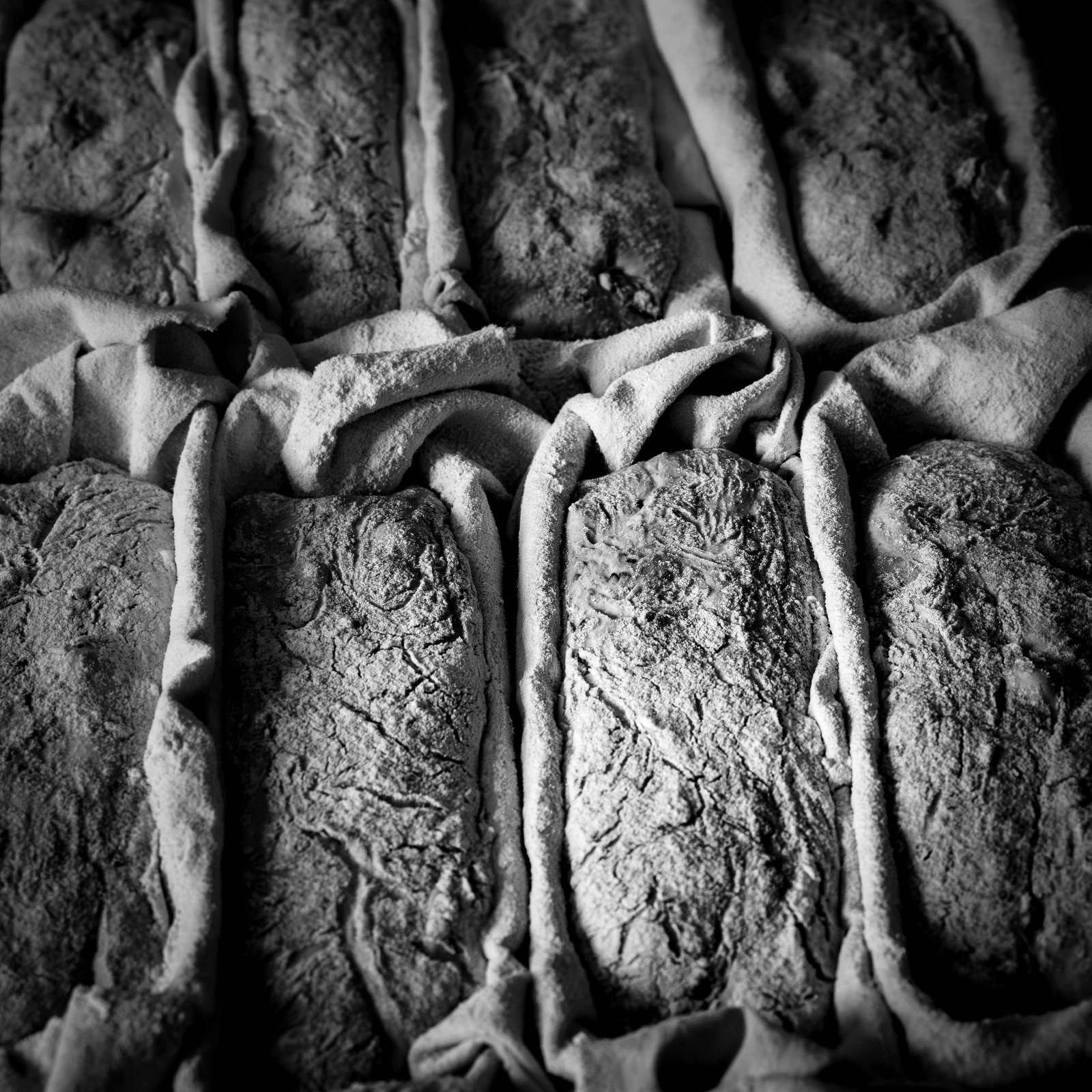 Préparation des pâtons avant l'enfournement